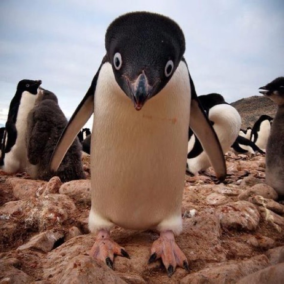 Meet your Posher, Brian - Picture 1 of 1